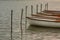 Small boats moored on  masts on a lake. Wooden boats ready waiting in line on a calm water