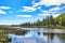 A small body of water reflects the surrounding green forests and marshes on a sunny summer day.