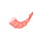 Small boiled shrimp without head. Cooked prawn with bright pink shell. Flat vector element for cafe or restaurant menu