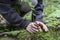 Small boletus mushroom growing in the forest, covered by the hands of a teenager