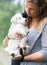 Small Border Collie puppy with blue eye in the arms of a woman