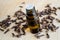 Small bottle with essential clove oil. Aromatherapy, herbal medicine and spa ingredient