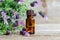Small bottle with essential lavender oil. lavandula flowers close up. Aromatherapy, spa and herbal medicine ingredients.