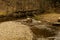 A small boulder in a creek