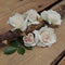 Small bouquet of white roses on thorny branches on a wooden background