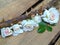 Small bouquet of white roses on thorny branches on a wooden background