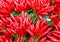 Small bouquets of red hot chillies on sale at the greengrocer