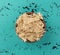 Small bowl filled with shredded slippery elm bark on a tabletop top view