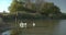 Small boy fisherman, catching a fish on a rod on the lake. Outdoors.