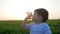 Small boy at grass holds in hands glasses and drinks mineral water, child sitting into green field, kid drinking water