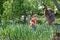 Small boy helping his mother in the garden