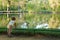 Small boy on the pond beach and looking around landscape