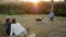 Small boy runs around with a dog on background of small river on sunset near grandmother with grandfather