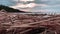 Small branches against the background of the gulf and moving clouds. Time lapse video.