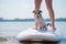 A small brave dog is surfing on a SUP board with the owner on the lake. Close-up of a jack russell terrier sitting on a