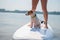 A small brave dog is surfing on a SUP board with the owner on the lake. Close-up of a jack russell terrier sitting on a