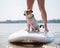 A small brave dog is surfing on a SUP board with the owner on the lake. Close-up of a jack russell terrier sitting on a