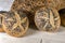 Small breads with poppy and sunflower seeds and Wheat