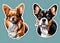 Small breed dogs stickers. Chihuahua, french Bulldog, Cavalier King Charles Spaniel, Welsh Corgi, Papillon dog portrait.