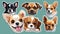 Small breed dogs stickers. Chihuahua, french Bulldog, Cavalier King Charles Spaniel, Welsh Corgi, Papillon dog portrait.