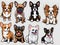 Small breed dogs stickers. Chihuahua, french Bulldog, Cavalier King Charles Spaniel, Welsh Corgi, Papillon dog portrait.