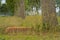 Small brick wall bordering a canal in the flemish countryside