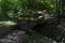 Small bridge across dried water stream and pathway paved with raw flat stone tiles in autumn forest.