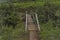 Small bridge of Bushmans river in Giants Castle KwaZulu-Natal nature reserve