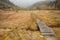 Small bridge long a path in the meadow at fall