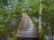 small bridge over a small river