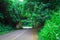 Small bridge overpass in Kauai Hawaii