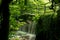 A small bridge surrrounded by thick vegetation spans a small waterfall caused by a sluice leading into Lymm Dam, Cheshire,