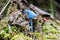 Small bright blue mushroom on forest floor