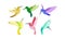 Small Bright Colorful Hummingbirds Flying And Sitting Vector Illustration Set
