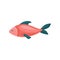 Small bright red fish with blue fins. Sea animal. Marine creature. Flat vector element for children book