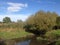 Small brook in autumn