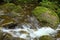 Small Brook in Ecuador