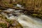 A small brook in the middle of a Scandinavian forest