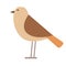 Small brown bird flat illustration