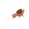 Small brown chicken eating grain. Young farm bird. Domestic fowl. Flat vector element for children book