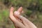 Small brown lizard sitting on female hand, horizontal view. People, pets, reptiles concept.