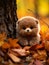 a small brown teddy bear sitting on the ground surrounded by autumn leaves