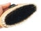 Small brush for grooming horses with hand on white