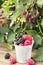 Small bucket of blackberry and raspberry