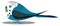A small budgerigar bird vector or color illustration
