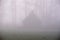 A small building in fog. Poor visibility. Foggy morning. Fall season