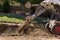 Small Bulldozer Digging In Dirt and Grass