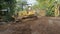 Small bulldozer moving stumps , vegetations and other wood debris by pushing