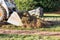 Small Bulldozer Removing Grass From Yard Preparing For Pool