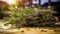 Small bunch of fresh herbs, including rosemary and thyme, is sitting on wooden table. The herb bundle has been cut from